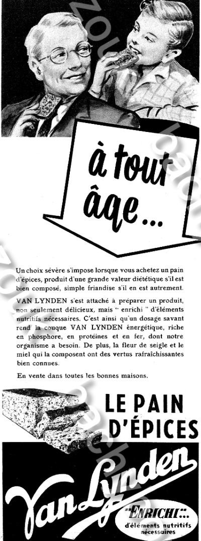 van lynden pain epices